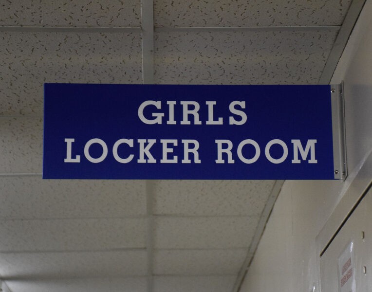 Room Sign- Flag Type